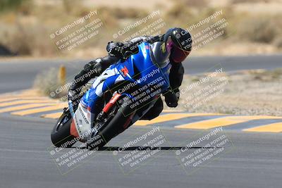 media/May-14-2023-SoCal Trackdays (Sun) [[024eb53b40]]/Turn 5 Tree of Life (1125am)/